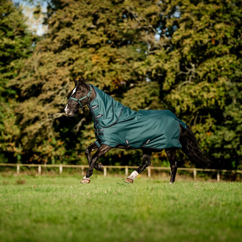 Horseware Amigo Ripstop 900D Plus Turnout 100g Decke Dynasty Green/Navy & Silver, Deckengröße:160 cm / 7´0