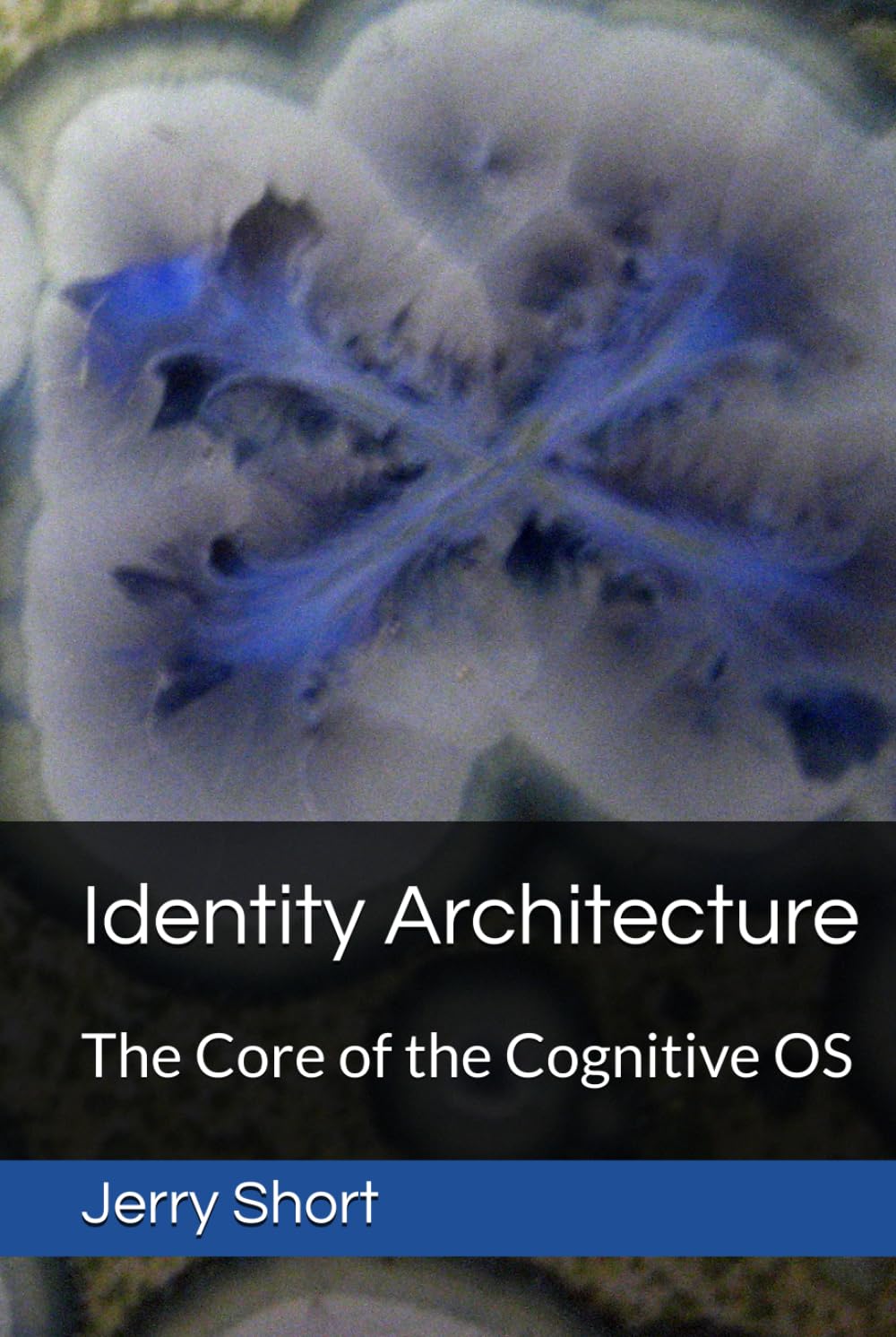 Identity Architecture: The Core of the Cognitive OS (The MGCA Multiverse Series)