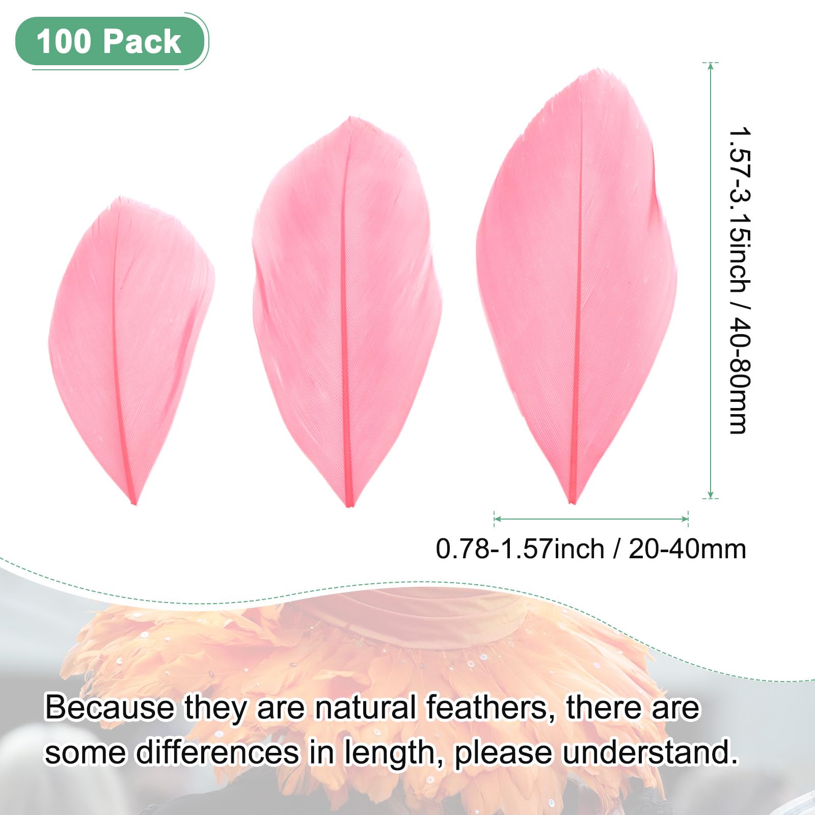 M METERXITY 100-Pack Goose Feathers - Image 3