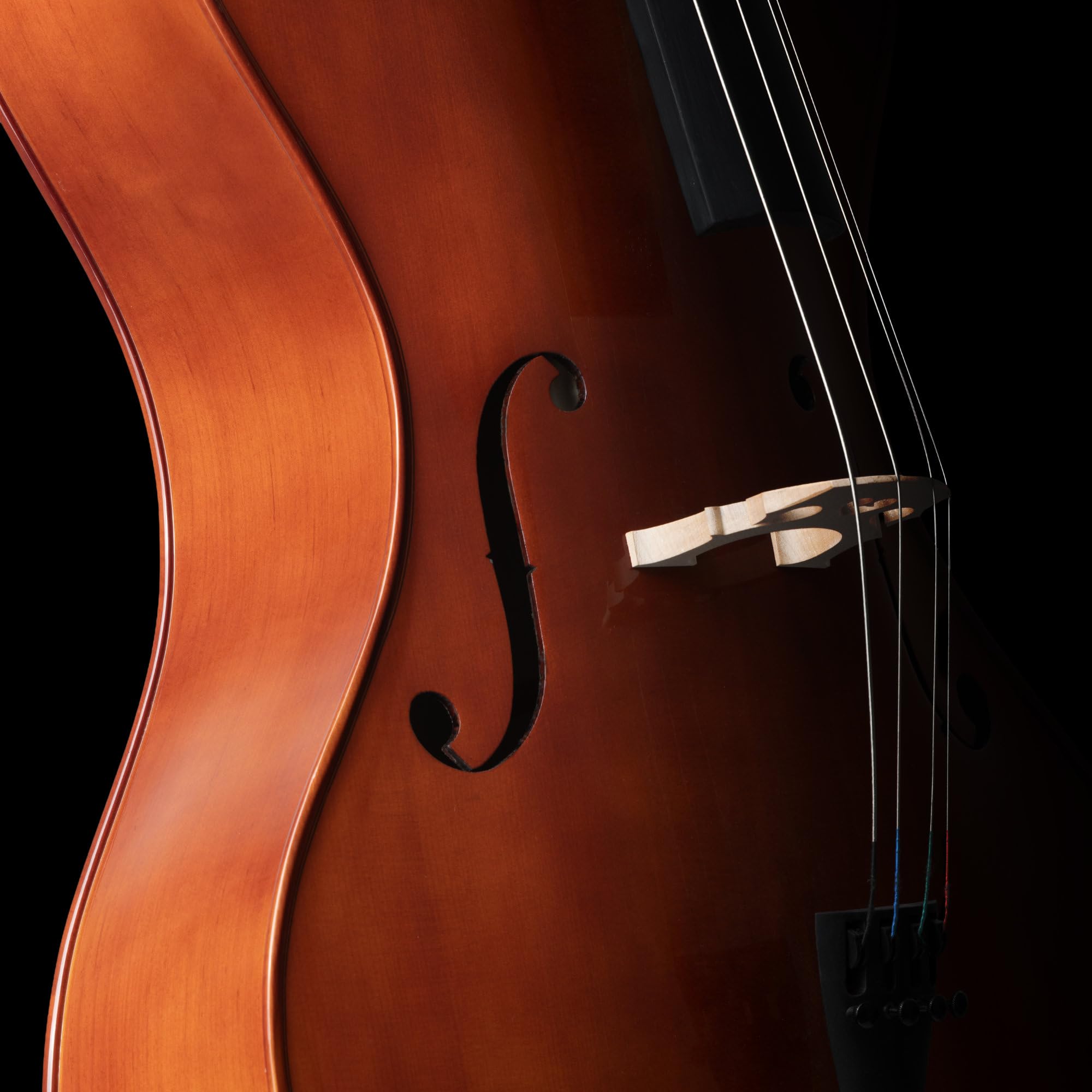 Classic Cantabile CP-200 4/4 Antique Cello Set - vollmassiver Fichten- und Ahornkorpus, Palisandergriffbrett, Feinstimmer & gepolsterte Tasche - Ideal für Anfänger & Fortgeschrittene