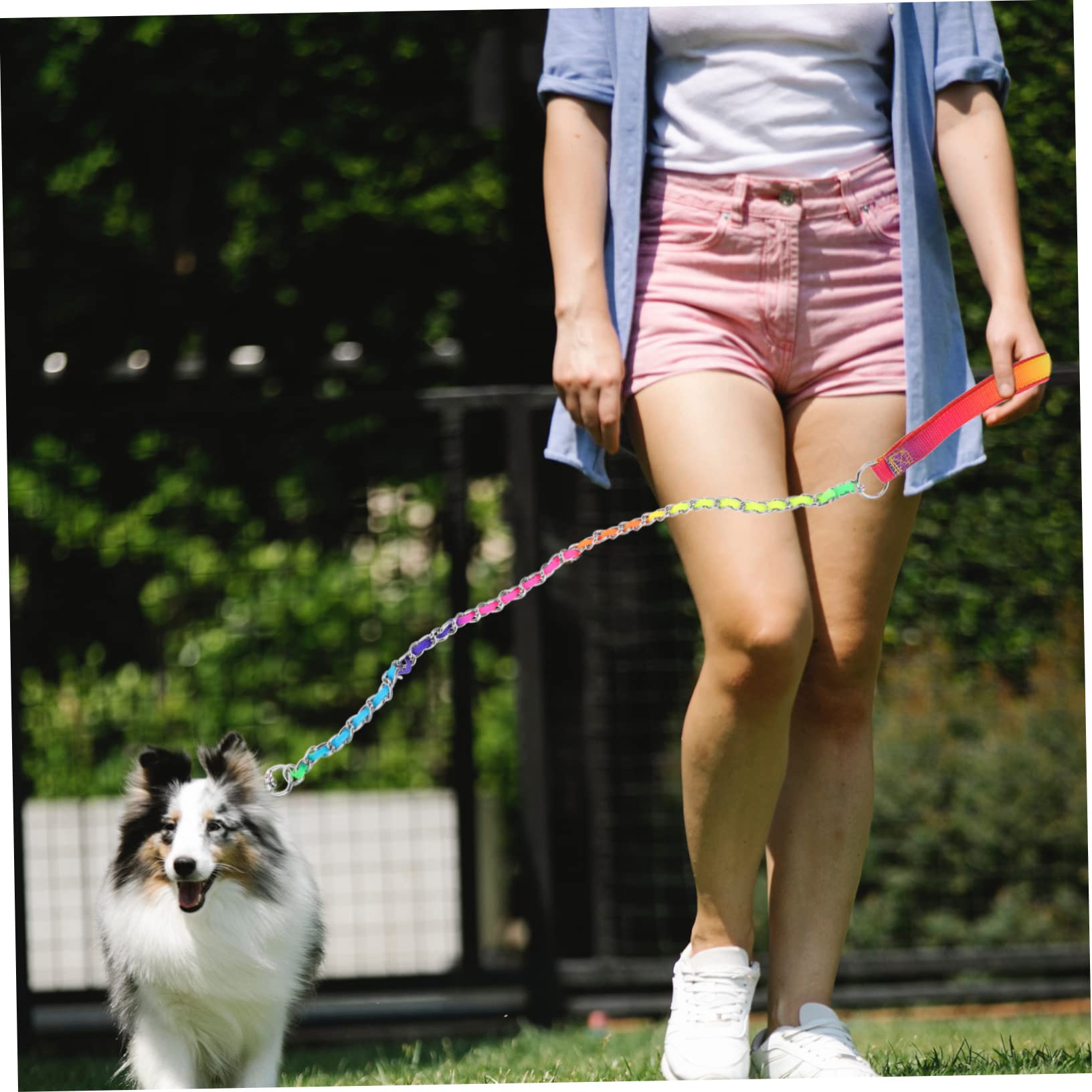 GRIRIW Professional Wear-resistant Dog Chain Lightweight and Sturdy Pet Leash Comfortable and Skin-friendly Convenient for Daily Use Anti-bite Design for Puppies - Image 3