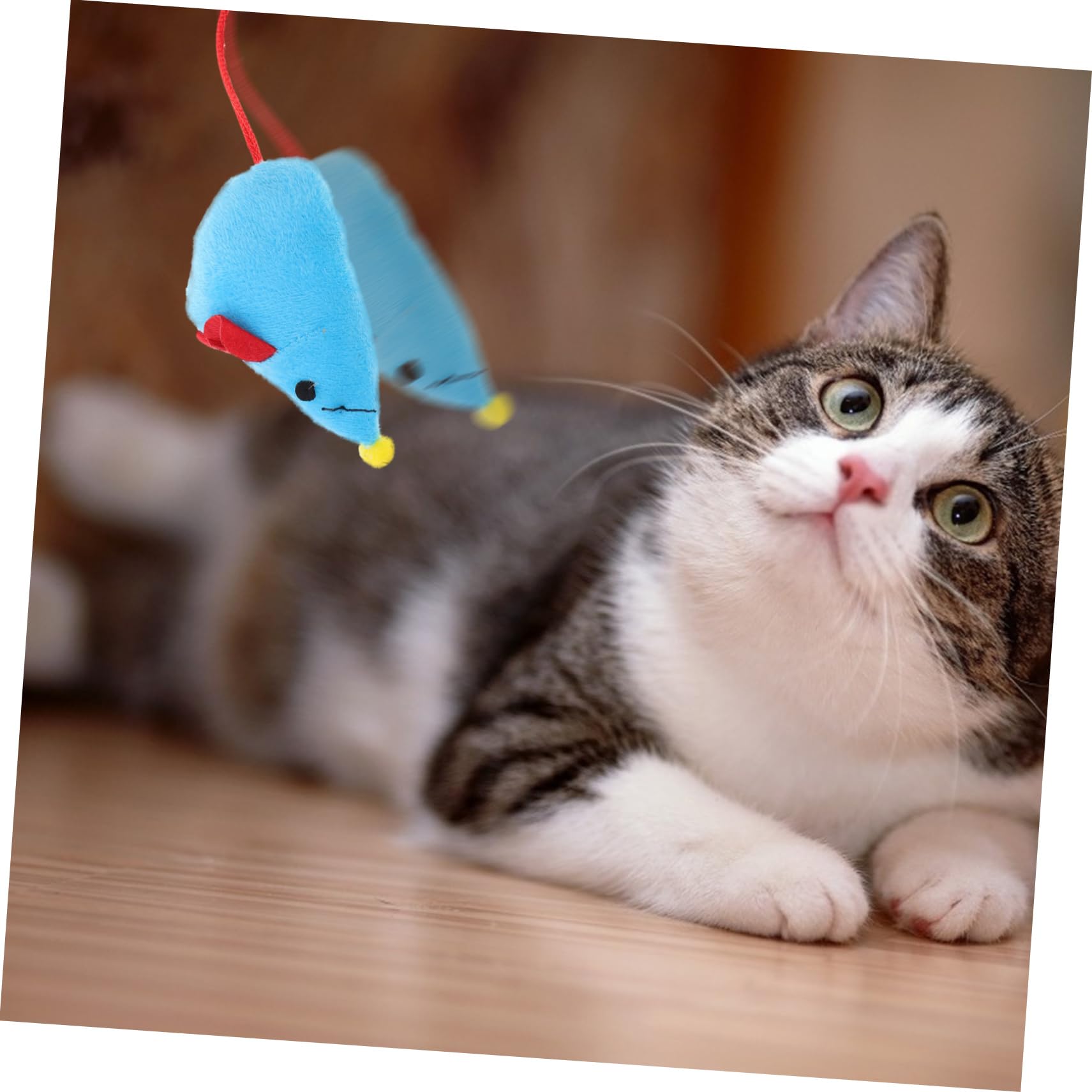 Didiseaon 4 Ensembles De Jouets De Marche pour Chat Trous Jouet pour Chat Tube pour Tunnel pour Chien Porte pour Mur Porte pour Chien Lit De Jeu Jouet À Cache-Cache Cochon en