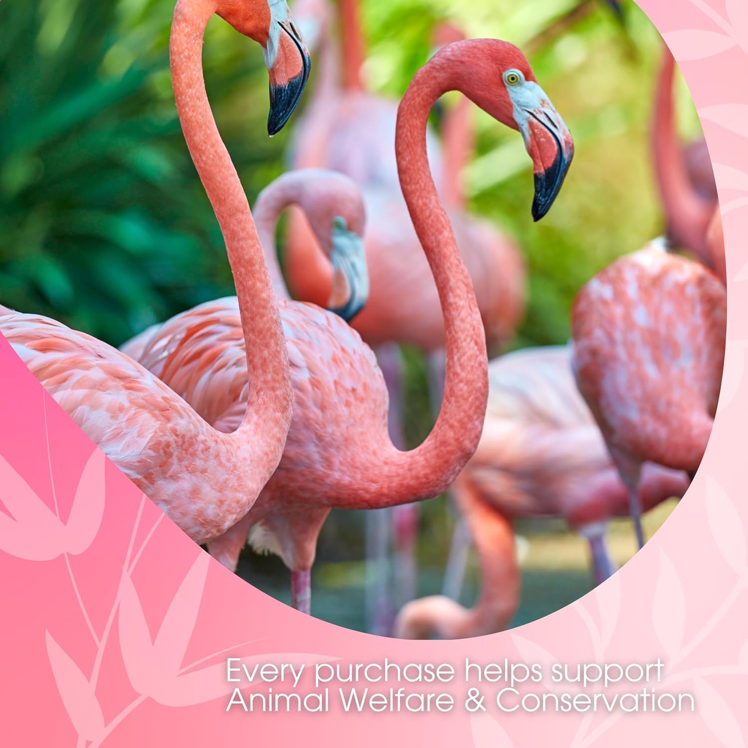 DAVID RIO Chai Flamingo Vanilla™ Decaf Reduced Calorie (Etichetta Ita) 337g