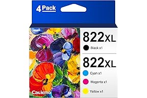 Epson 4833 822XL Combo Pack for WF Printers