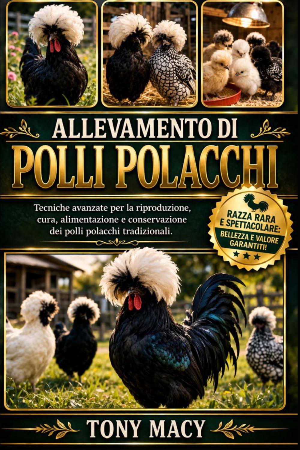ALLEVAMENTO DI POLLI POLACCHI: Tecniche avanzate per la riproduzione, cura, alimentazione e conservazione dei polli polacchi tradizionali.