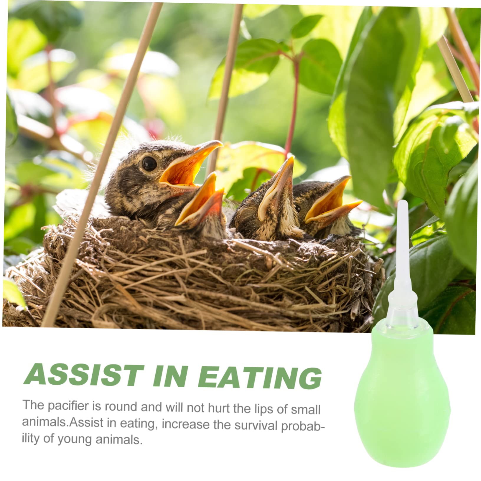 SAFIGLE 2 Pcs Bird Weaning Accessory Pigeon Feeding Tool Easy to Use for Cockatiel Budgie