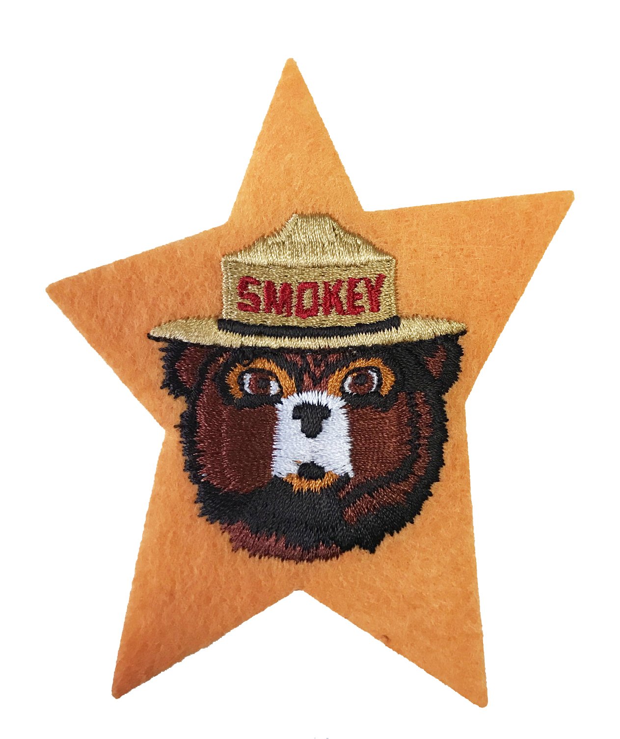 Amazon.com: Smokey The Bear Vintage Prevent Forest Fires Iron on
