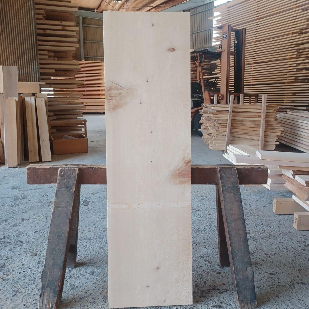 檜 切り株 輪切り 高さ約8.5㎝上面最大幅約36.5㎝ 底面最大幅約39