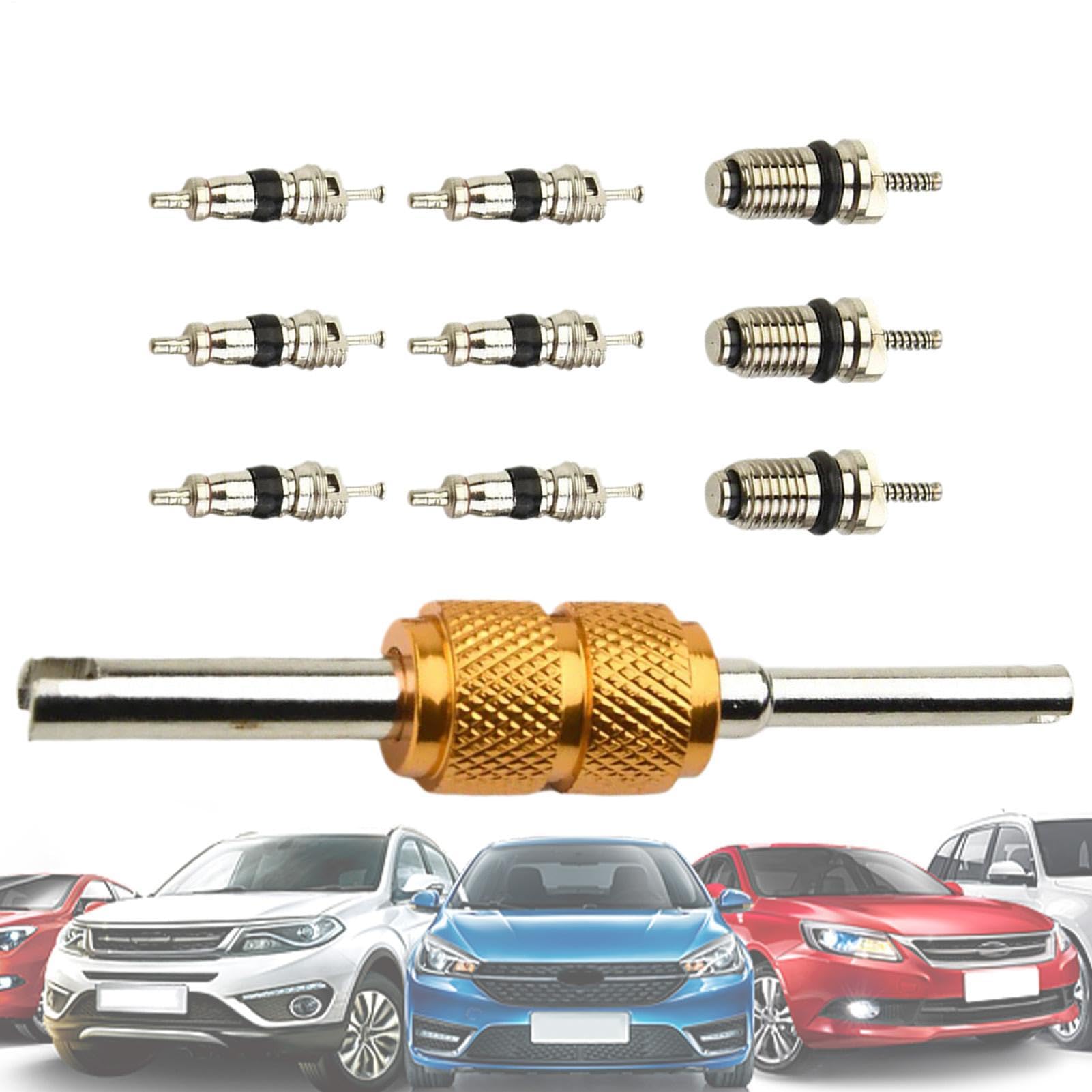 Kit nucleo valvola AC – Strumenti di riparazione aria condizionata auto, set di 10 nuclei valvola R134a con guarnizioni ad alta pressione, nucleo refrigerazione camper, ricambi auto AC per garage