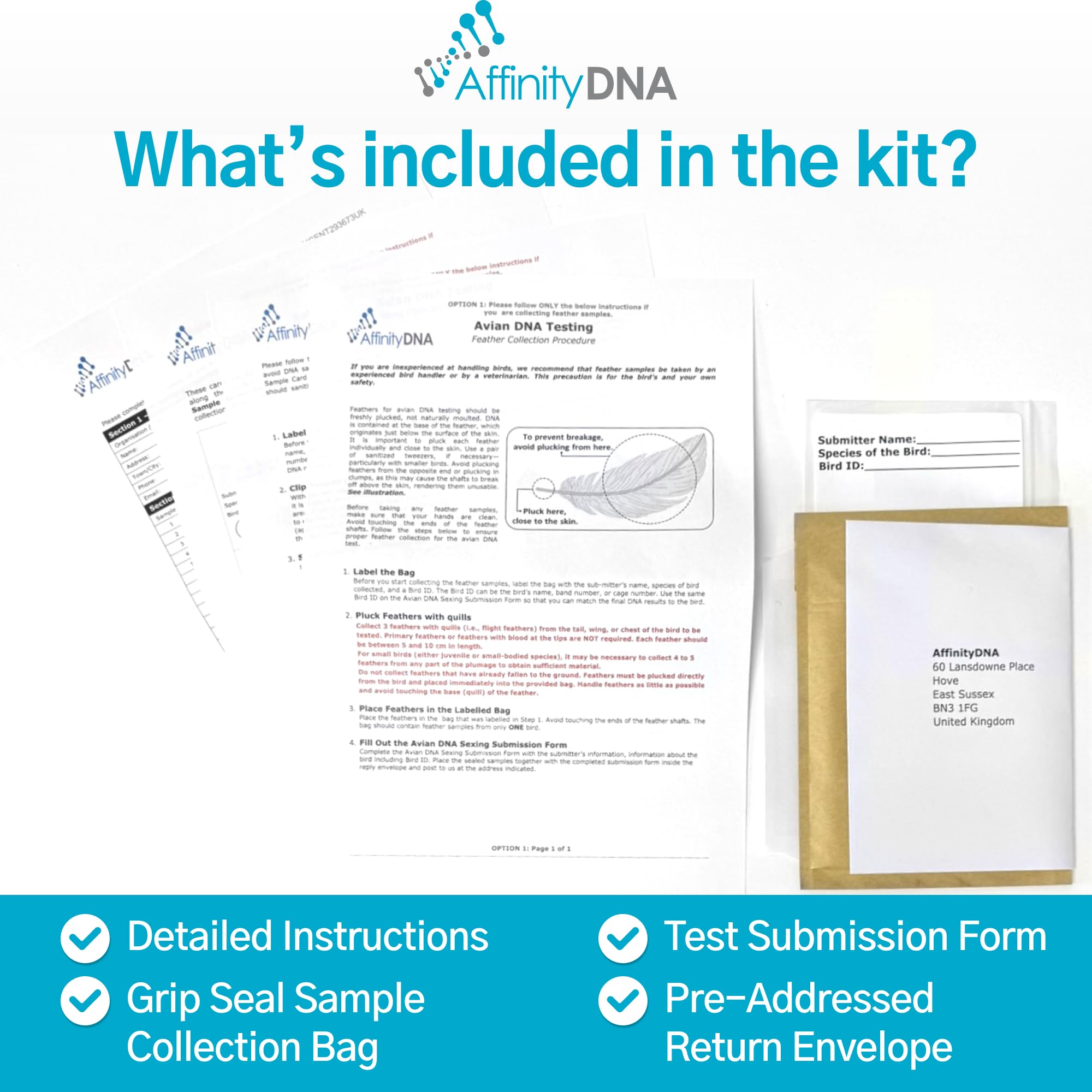 Kit per test del DNA del genere degli uccelli, sesso rapido e accurato degli uccelli a casa, funziona su tutte le specie aviarie, facile raccolta dei campioni, risultati verificati in