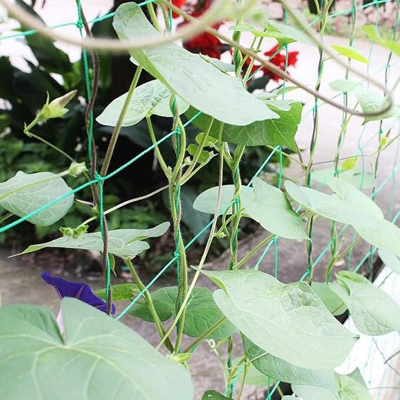 Garden Netting 6.6 x 16.4 ft, Trellis Net for Climbing Plants & Vegetables