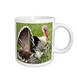 3dRose USA, New York, Cooperstown. Domestic tom turkey, courtship display. 11oz Mug