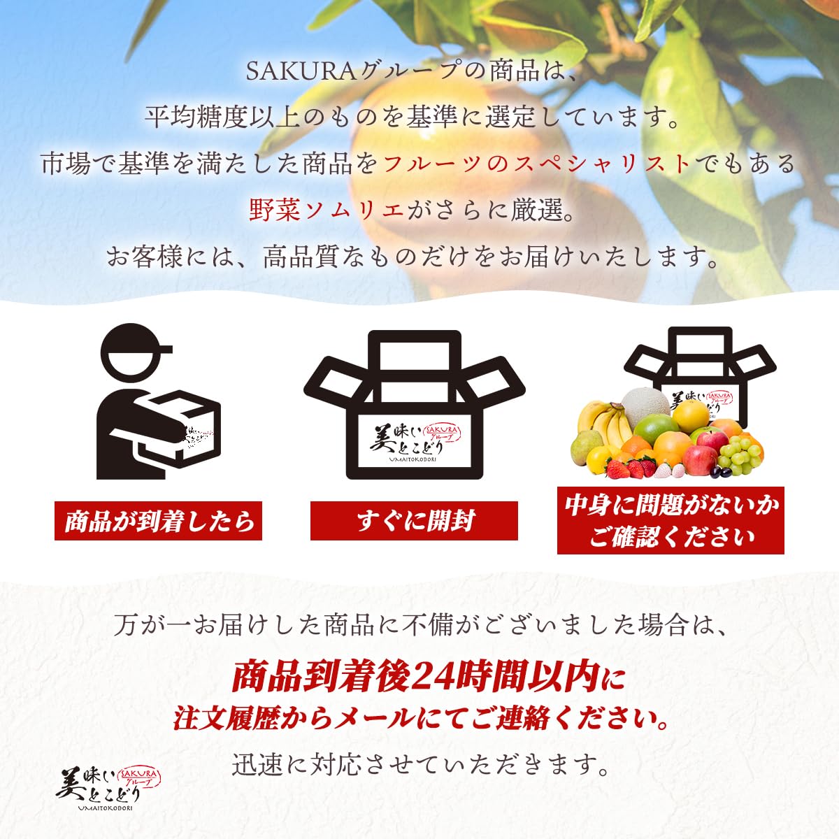 Amazon.co.jp: 美味いとこどり 山梨県産 高級 ギフト 贈答 シャイン