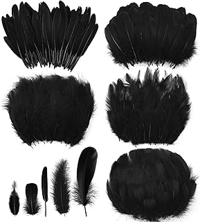 500 Pcs Halloween Black Assorted Crafts Feathers 4 Styles Mixed Feathers Black Feathers for Crafts Chicken Turkey Goose Feathers Supplies for DIY Wedding Home Party Costume Clothing Accessories