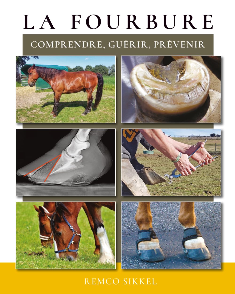 La fourbure: comprendre, guérir, prévenir
