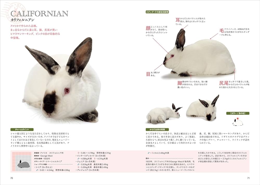 うさぎの品種大図鑑 第3版: アメリカ公認51品種 | 町田 修 |本 | 通販