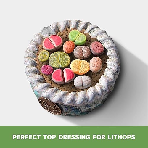 Miniatura 6 de Tierra dura para bonsái Akadama de 5 libras de grano pequeño de 18-14 pulgadas para cactus, suculentas, plantas bonsái, enmienda del suelo, evita el