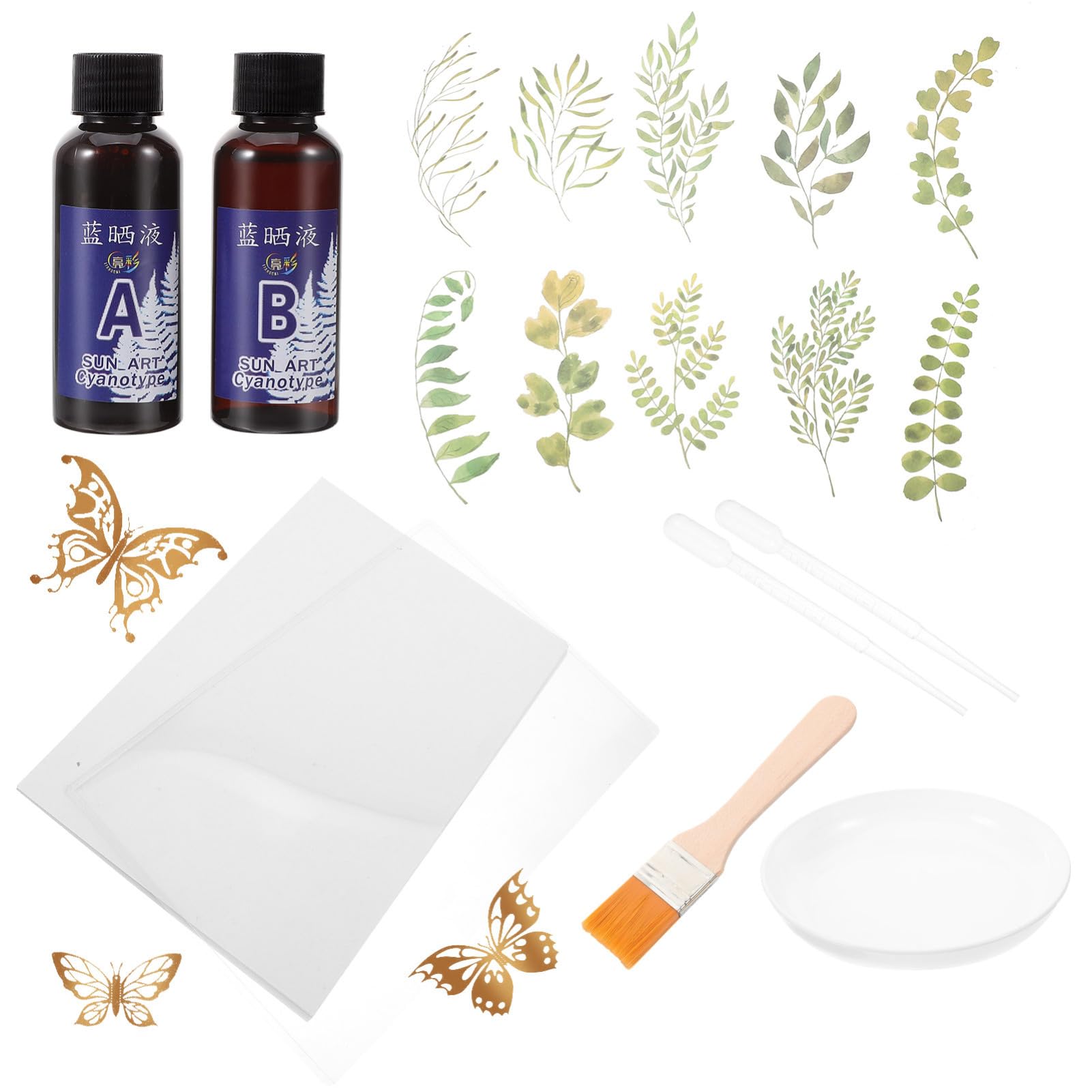 TEHAUX DIY Cyanotype Photography Kit 1 Set of Cyanotype Materials Package Craft Supplies for Traditional Art