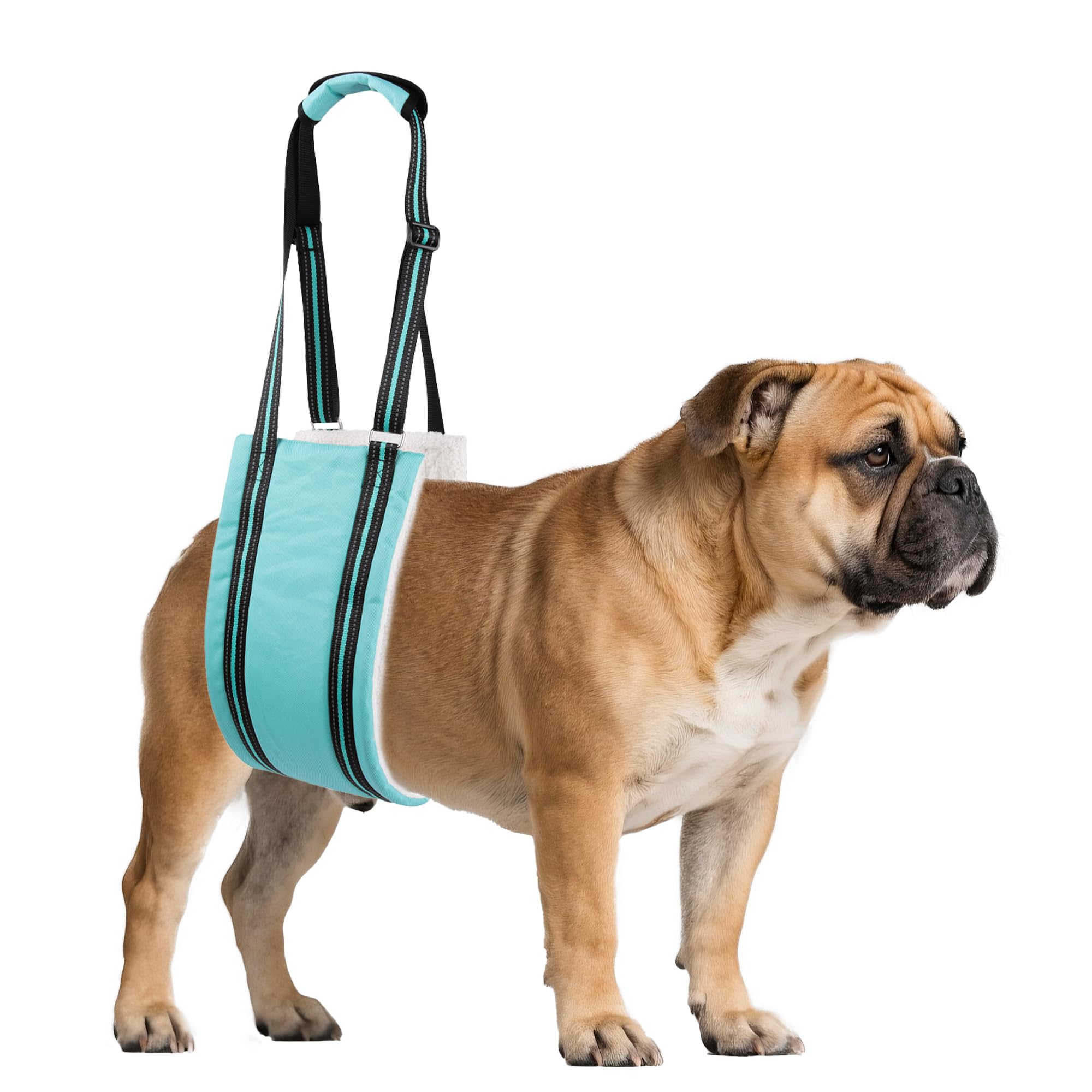 AIITLE Dog Slings for Small Dogs - Adjustable Hind Leg & Hip Support Harness, Plush Rehab Lift Aid with Reflective Straps, Assist Elderly/Injured/Post-Surgery Dogs with Mobility Issues (Turquoise, S) — image 1