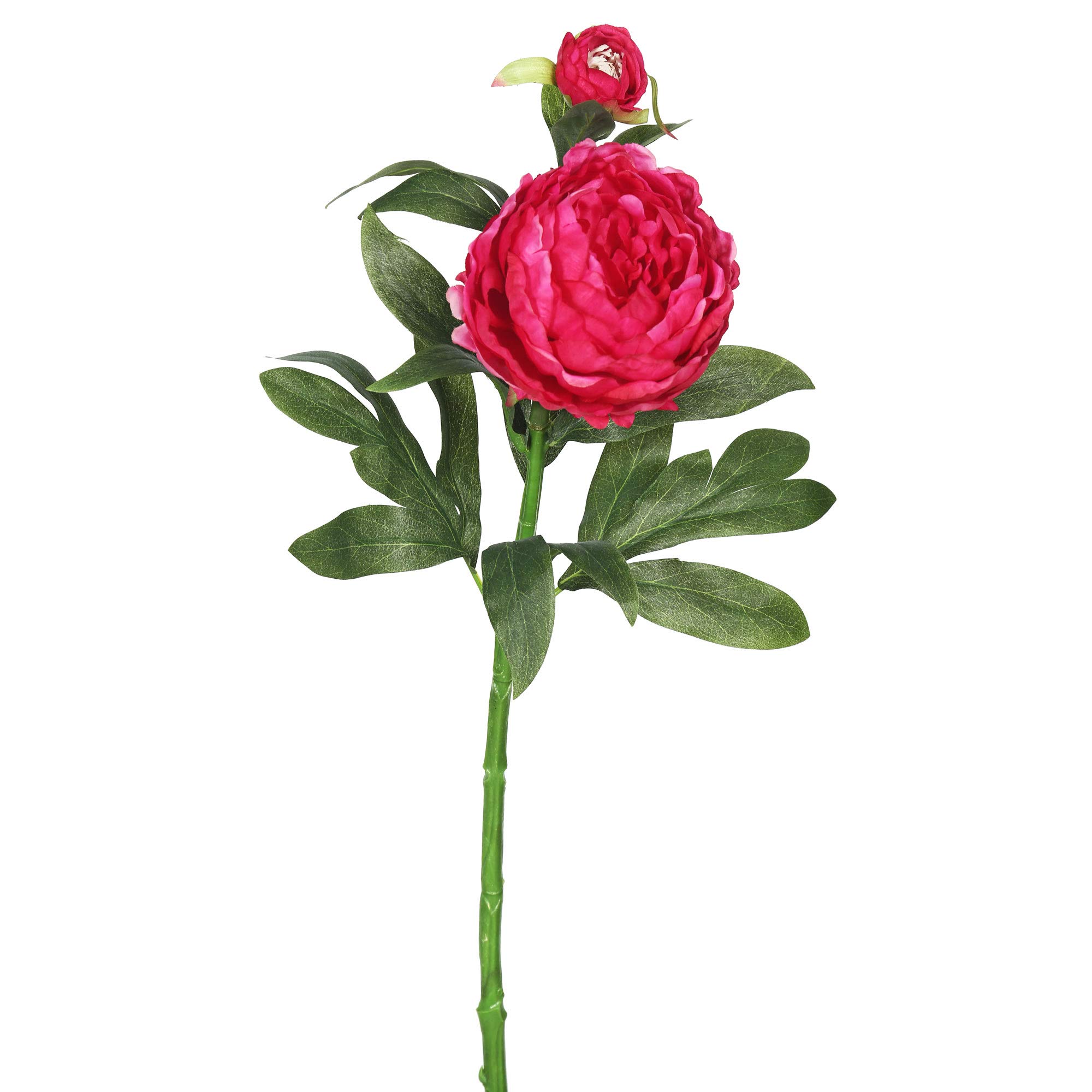 多頭牡丹 Amazon｜Vickerman 24インチ 人工ホットピンク 牡丹の茎 3個