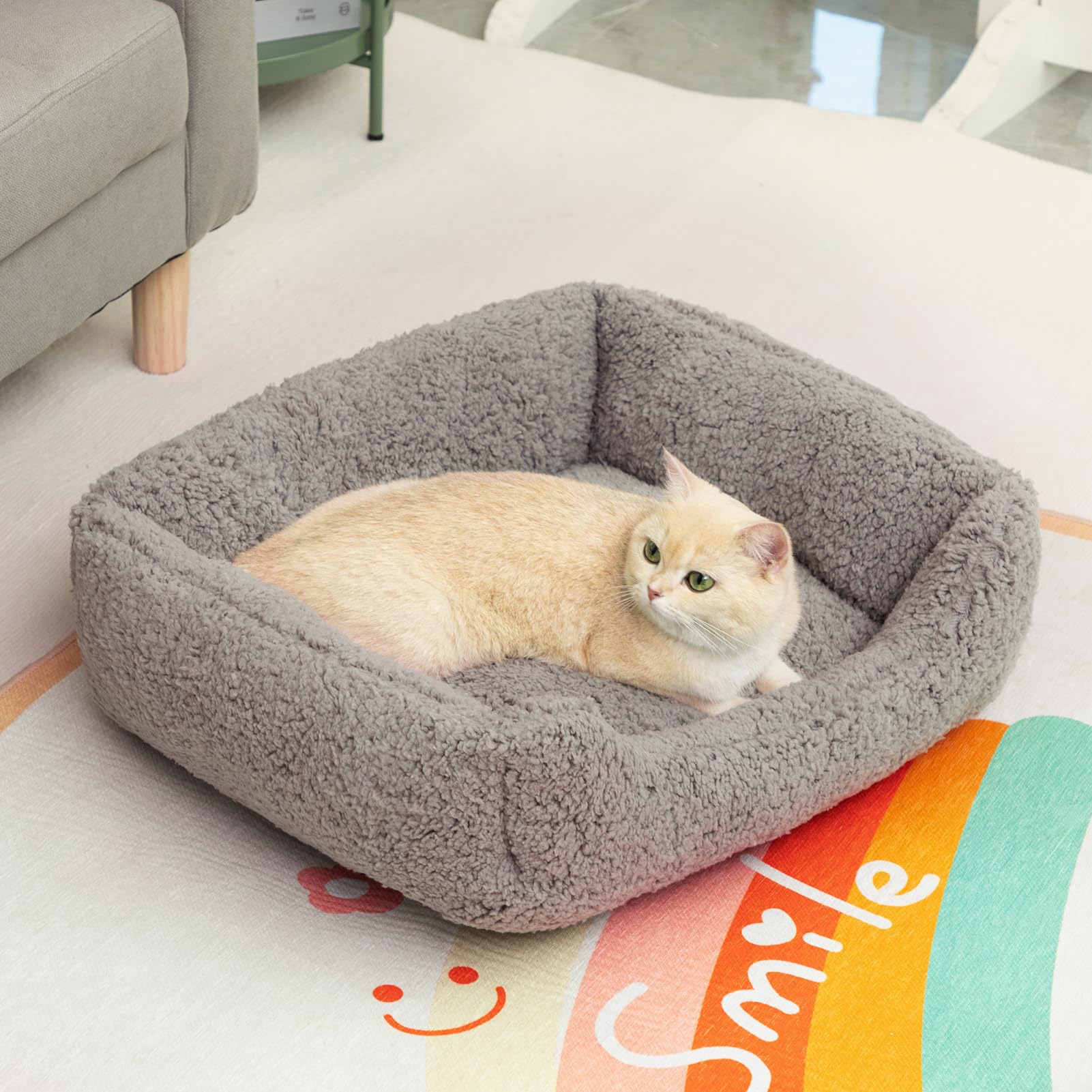 Hollypet Cat Bed Sherpa Fleece Small Dog Bed Pet Bed for Cats and Puppy Soft Pet Sleeping Bed Breathable Pet Cushion - Image 3