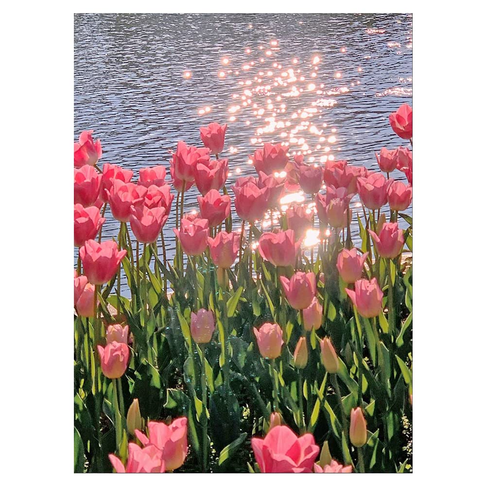 DCIDBEI Peinture Au Diamant 40x40 Cm Fleurs Tulipe - Kit Broderie Diamant Adulte - Bénédiction Éternelle Et Beauté