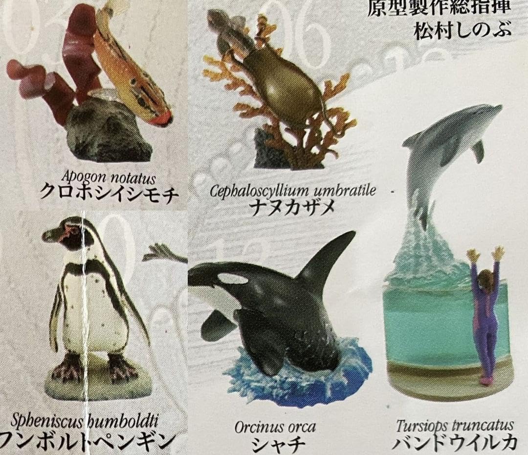 新江ノ島水族館への誘い2全13種☆海洋堂 Amazon.co.jp: 海洋堂 新江ノ島水族館への誘い 2 5種 シャチ