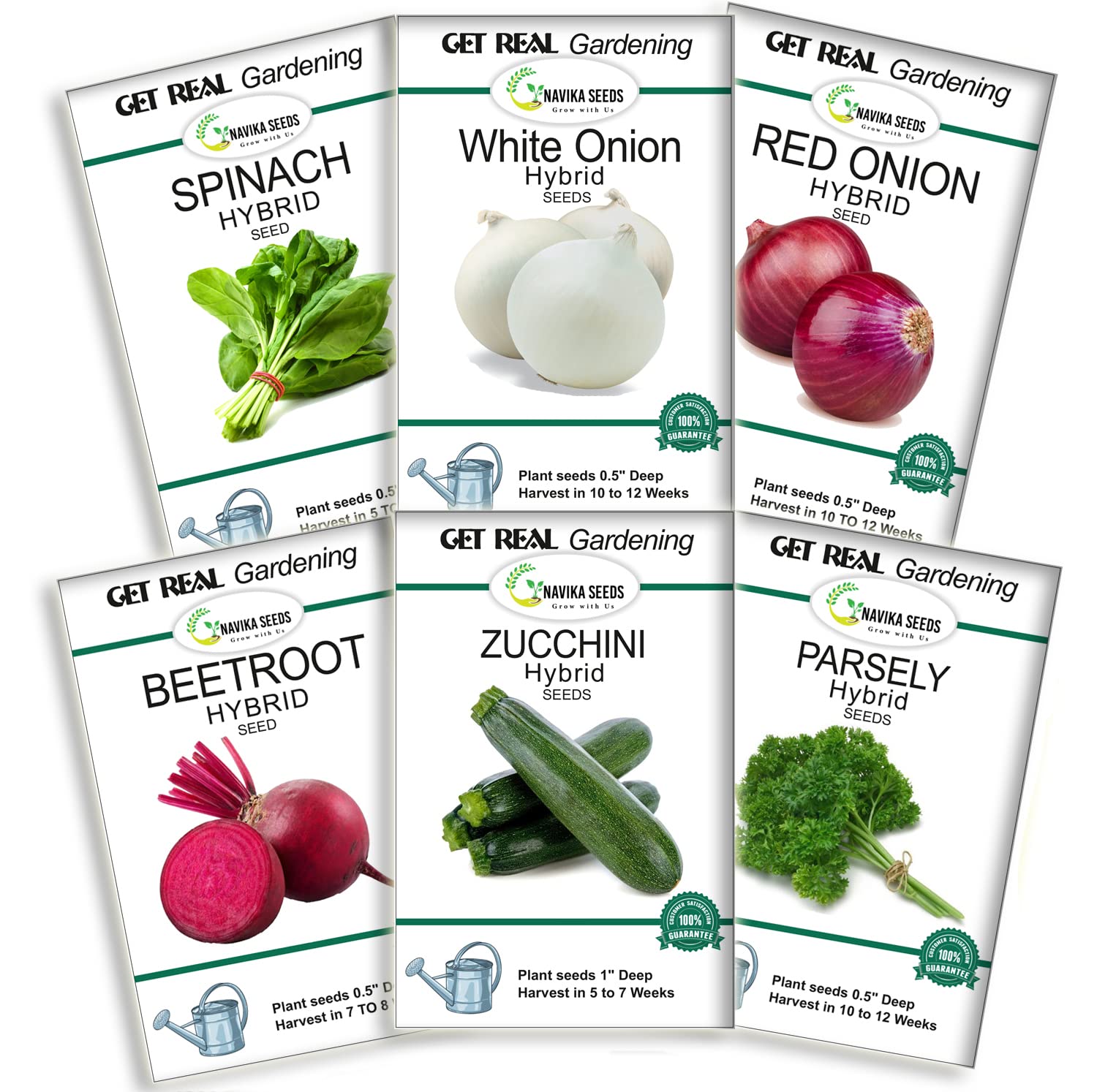Navika Seeds ; Grow with Us 6 Packet Vegetable Seeds For Home Gardening Pots | Vegetables Seeds | (Zucchini, White Onion Seeds, Red Onion Seeds, Parsley Seeds, Beetroot Seeds Fresh & Hybrid (B09FSZLN24) Amazon Price History, Amazon Price Tracker