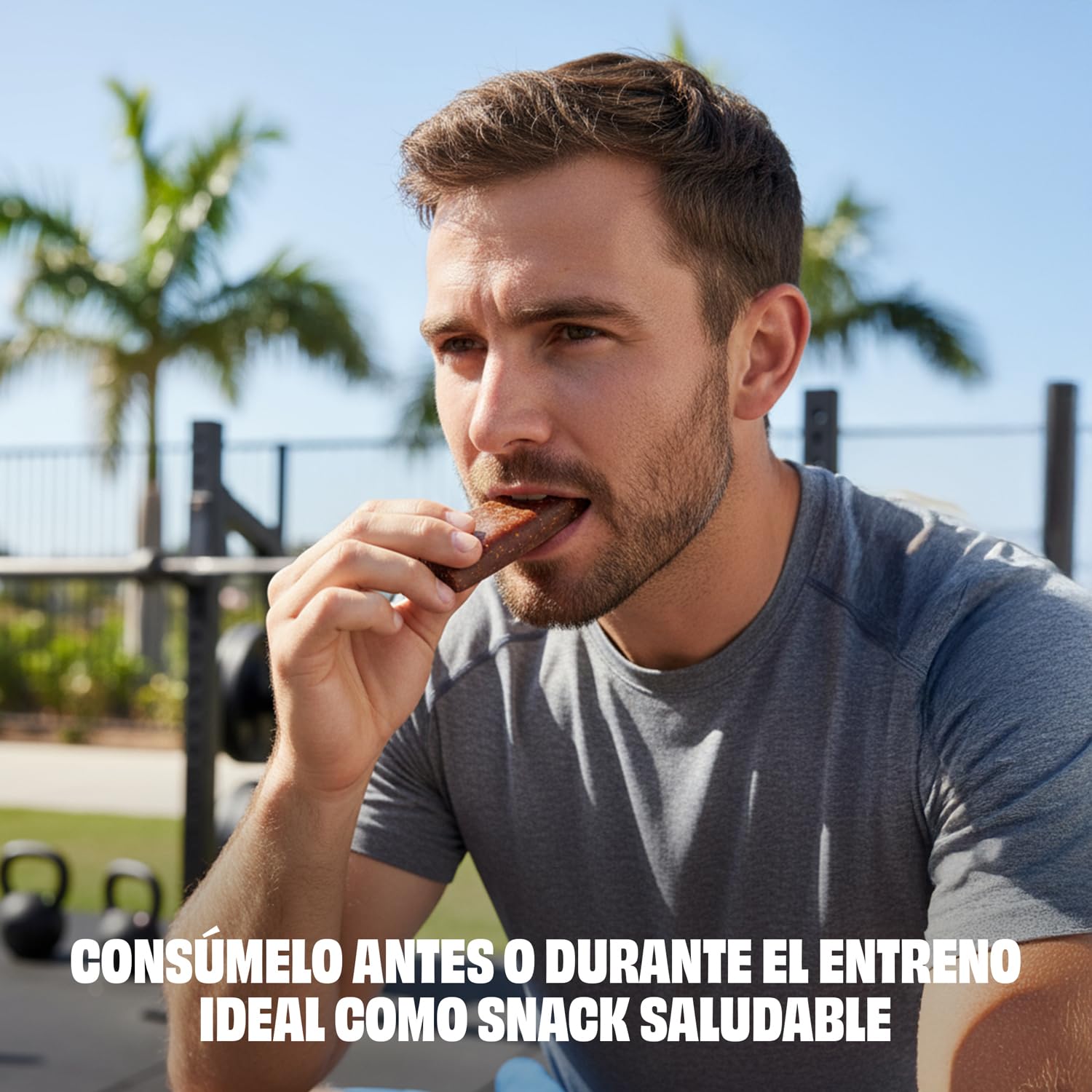 JustLoading Barrita con Probióticos Arándano | Sin Gluten·Lactosa | 42x35g | Con probióticos activos, equilibra flora intestinal. Energía sostenida sin pesadez. Proteína vegetal, fibra. Sin azúcares.