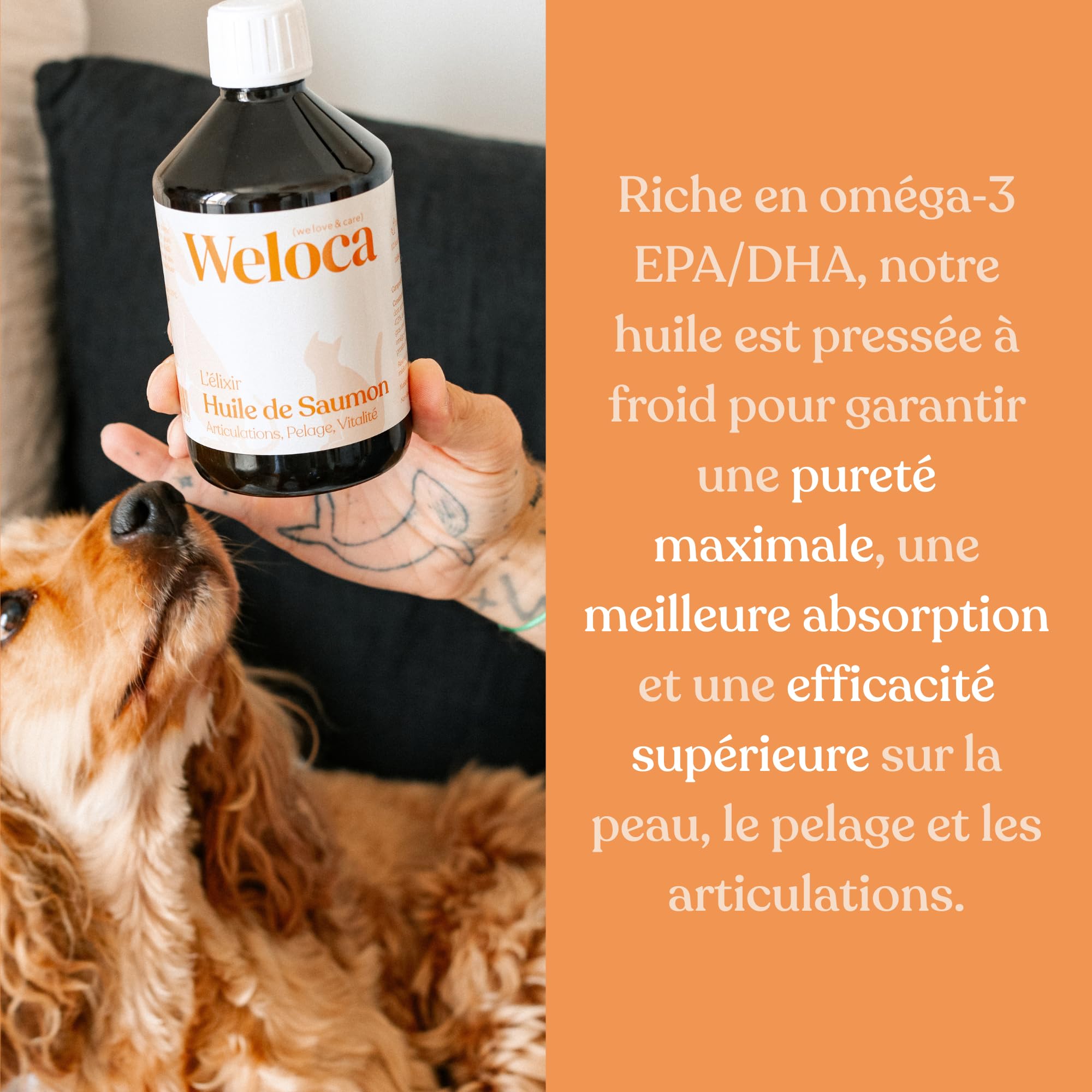 Huile de Saumon pour Chien et Chat | Marque française | Saumon Premium écossais | Riche en oméga 3 6 9 | 100% Naturel | Pressée à Froid et Pure | Complément Alimentaire Chien | 500 ML