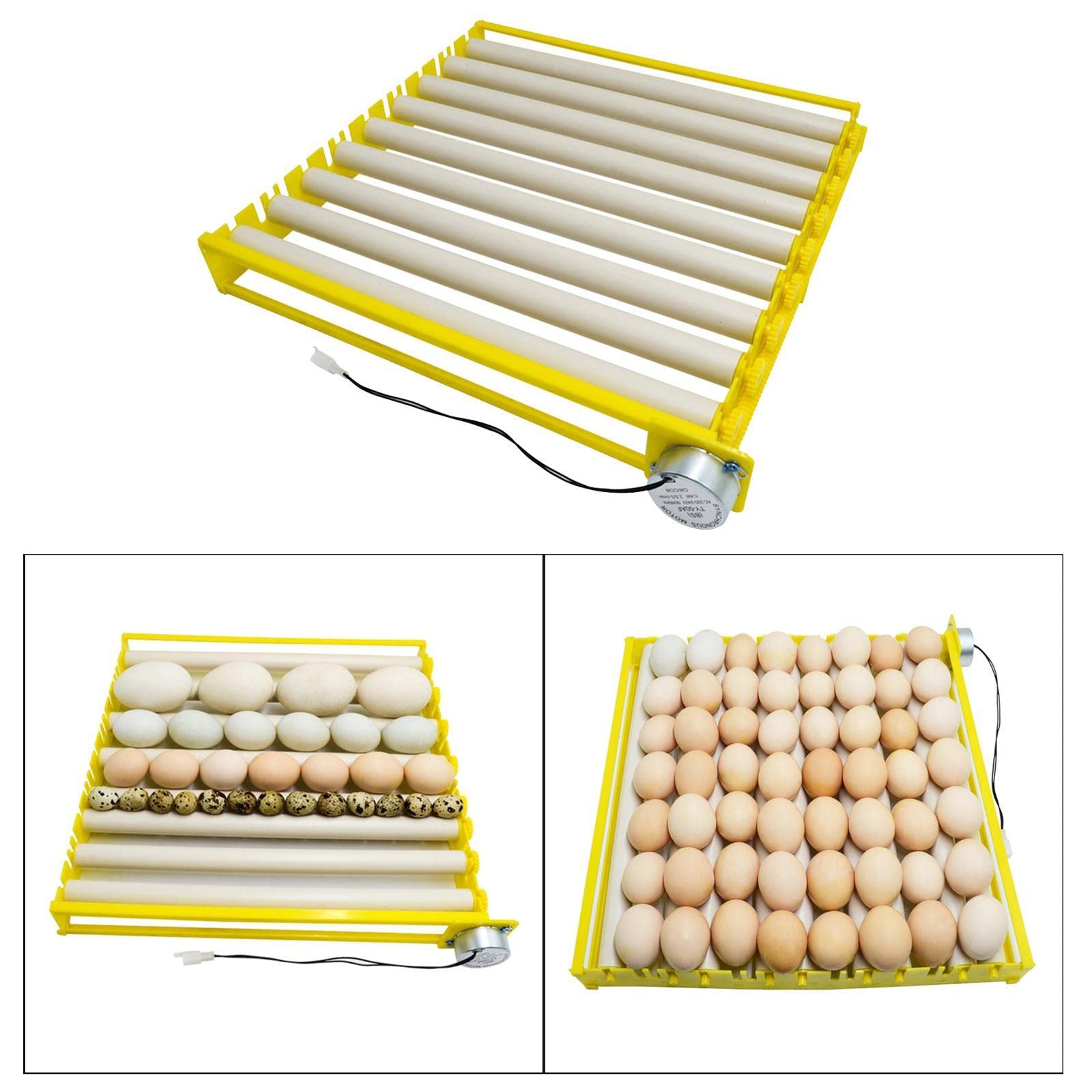 Fenteer Ei Inkubator Tablett Automatische Ei Turner für Huhn Ente Taube, 220V, 9 rohre