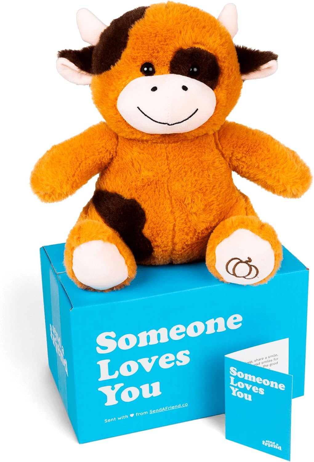 SendAFriend Piper the Pumpkin Spice Cow Care Package