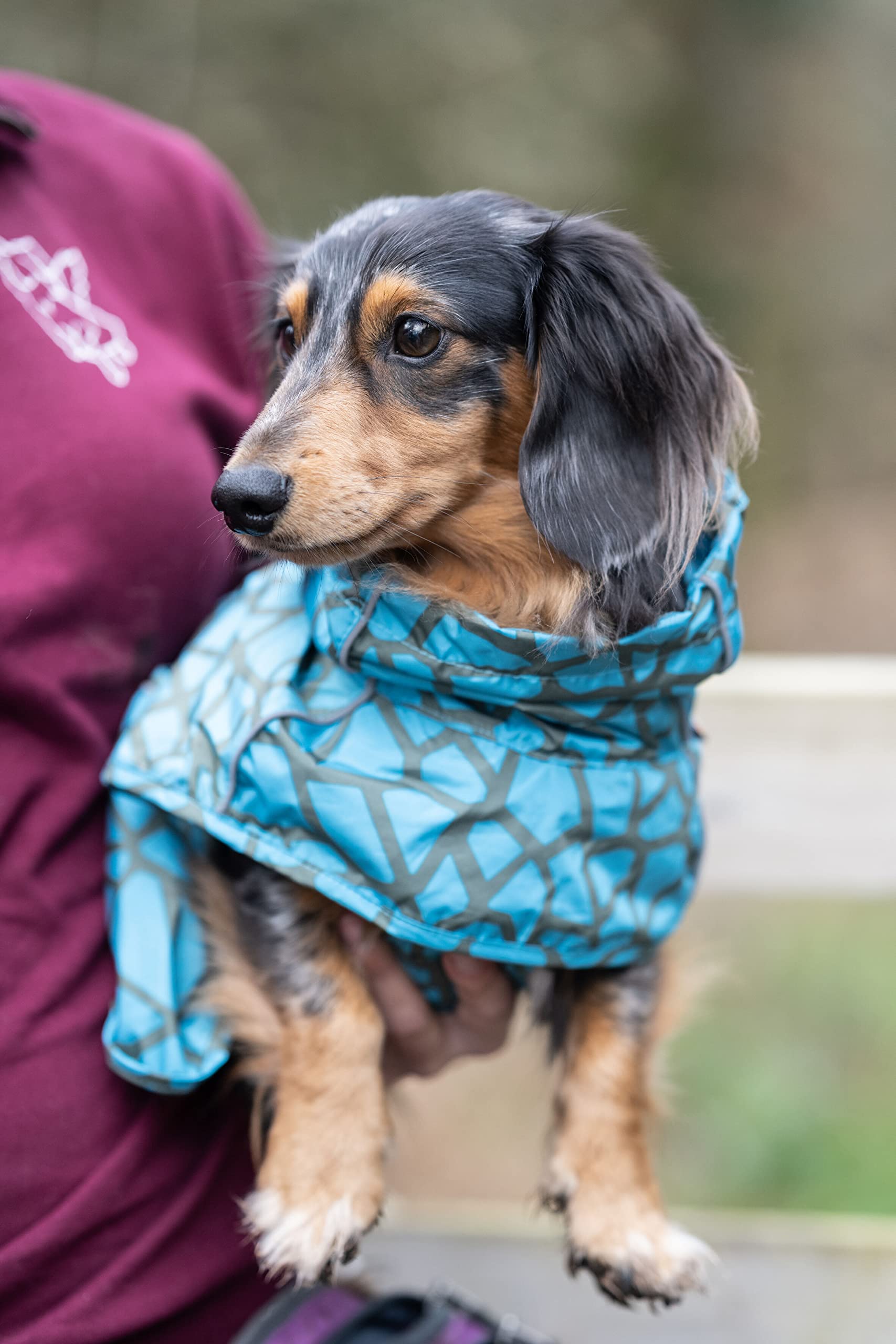Rukka Pets HAYTON WARM Raincoat Regenmantel für Hunde Aqua 45