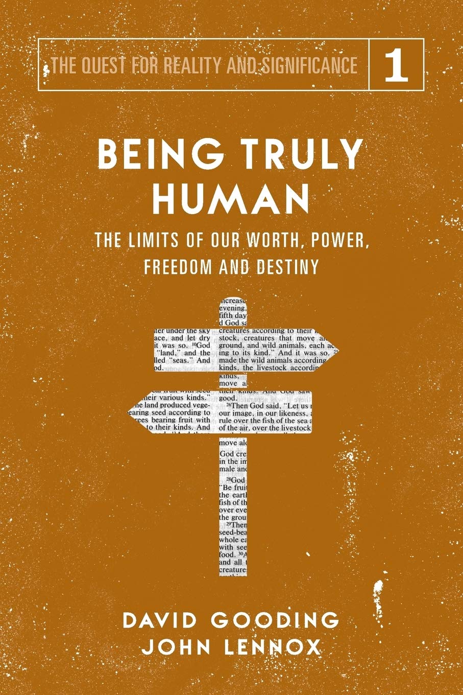 Being Truly Human: The Limits of our Worth, Power, Freedom and Destiny: Volume 1 (The Quest for Reality and Significance)