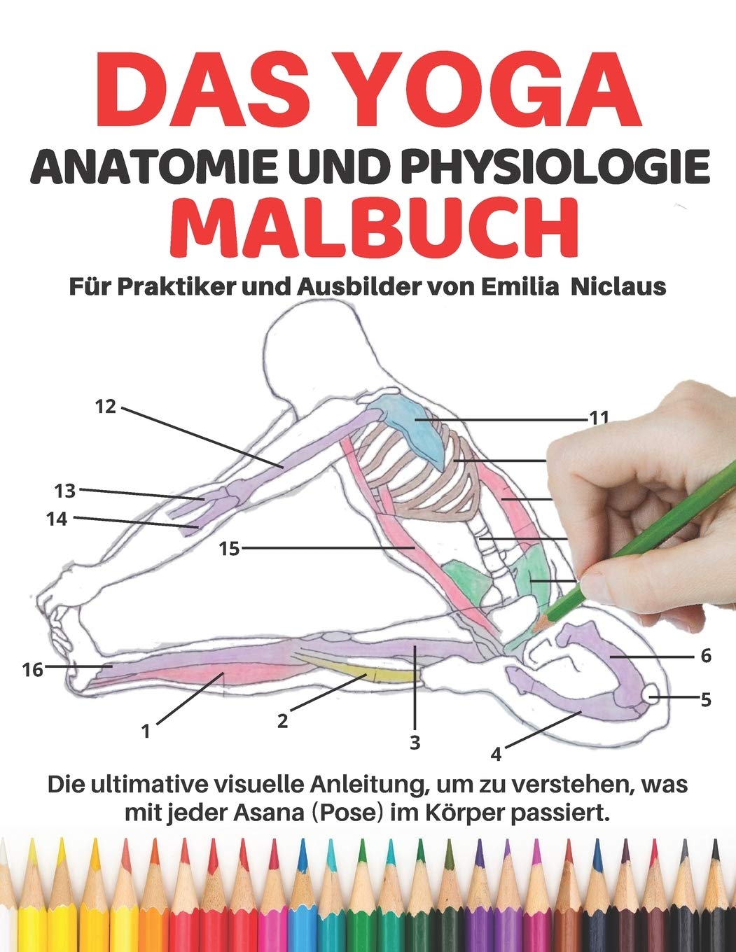 Buy Das Yoga Anatomie und Physiologie Für Praktiker und Ausbilder Die