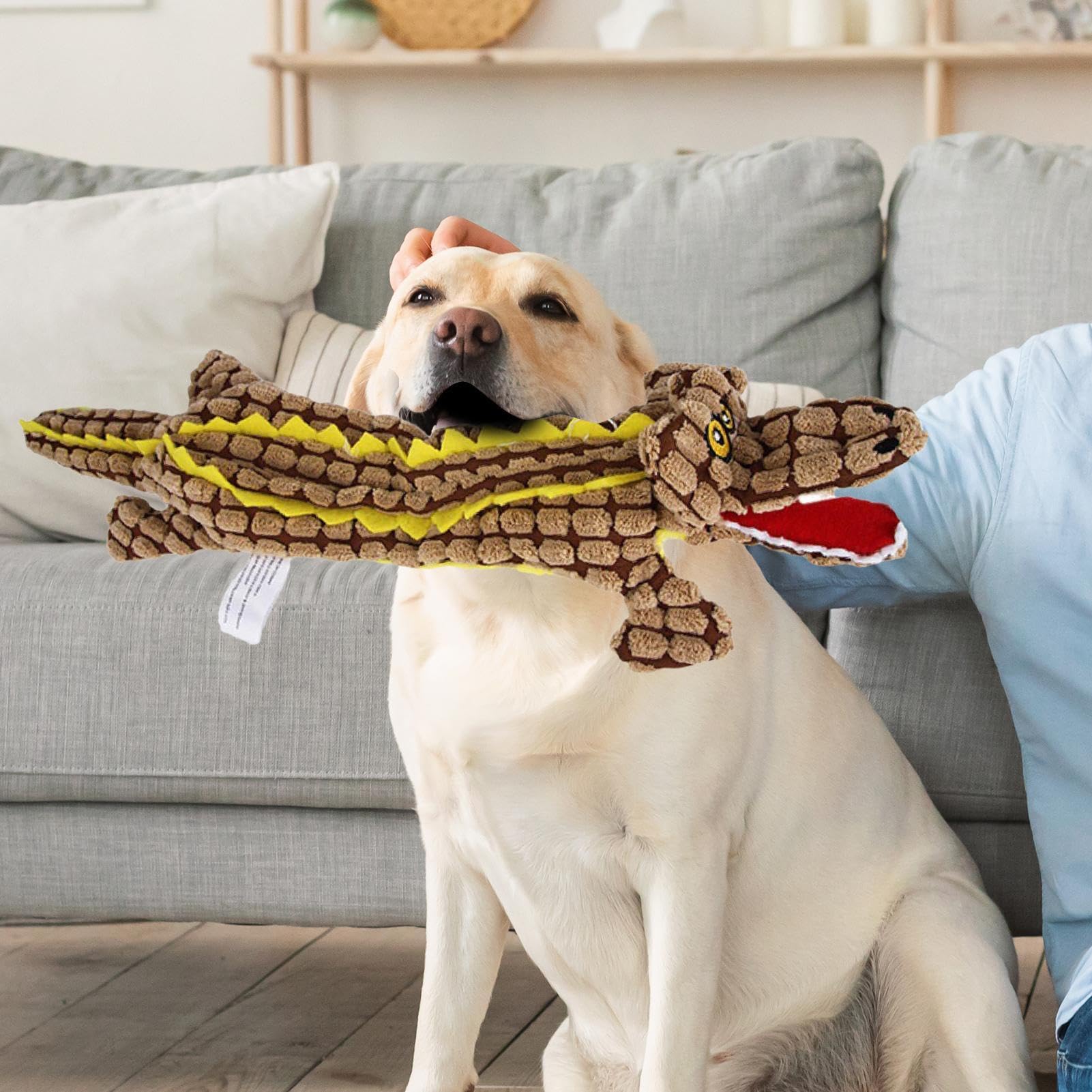 Giocattolo Cigolante Per Cani A Forma Di Coccodrillo | Peluche Per Masticare E Allenare I Denti