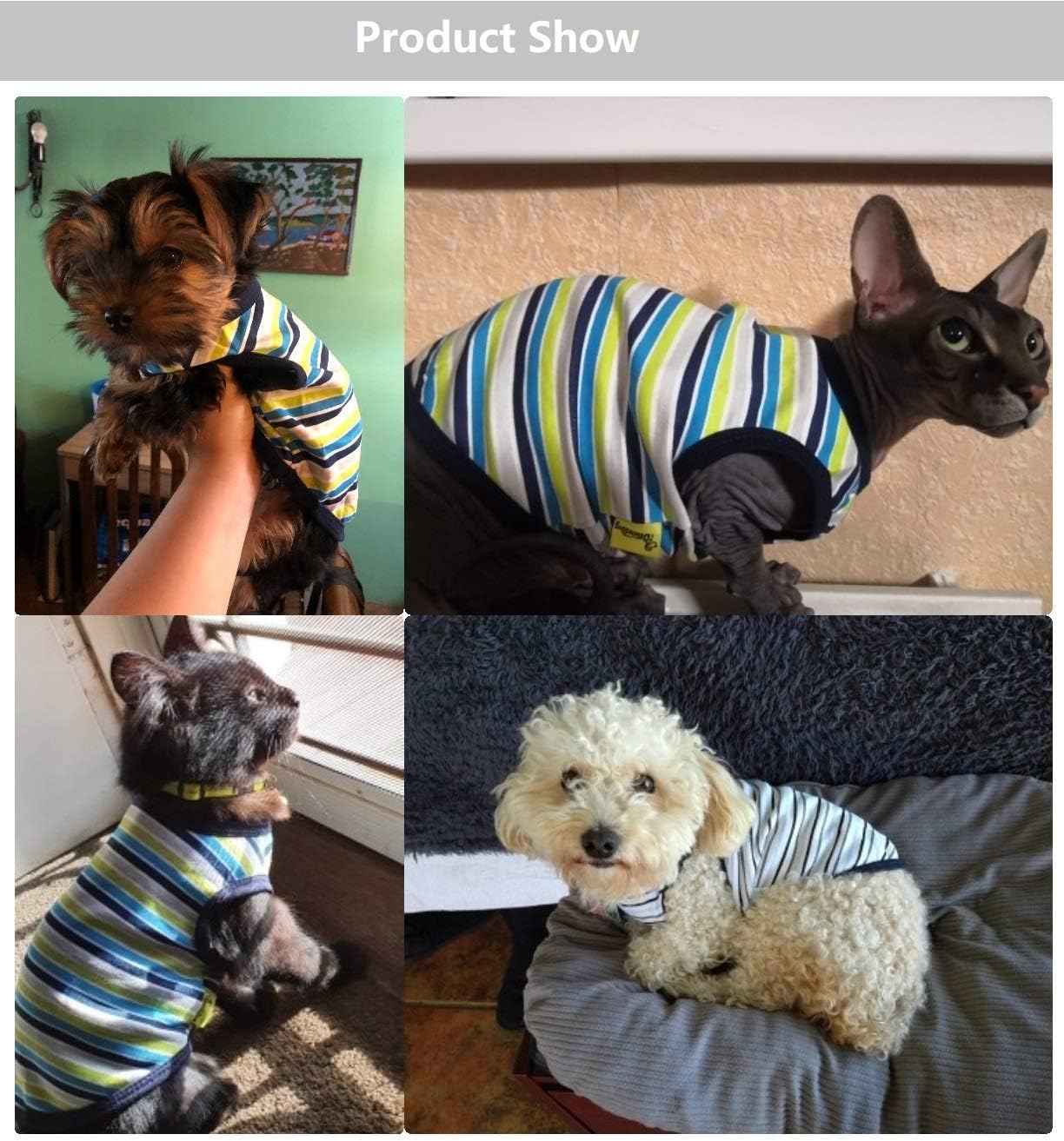 Perros Yorkshire Macho Trajes Para Yorkshire Toy Yikeyo Camisa