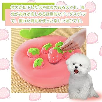 いちご購入 動物イラストのペット雑貨 いちご購入 動物イラストのペット雑貨 Amazon | 犬 おもちゃ ノーズ