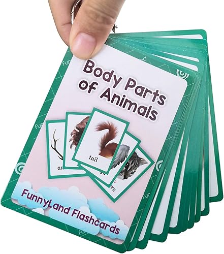 Miniatura 6 de 12 unidsset animales partes del cuerpo regalos niños tarjetas flash inglés tarjeta de bolsillo educativo aprendizaje bebé juguetes para niños