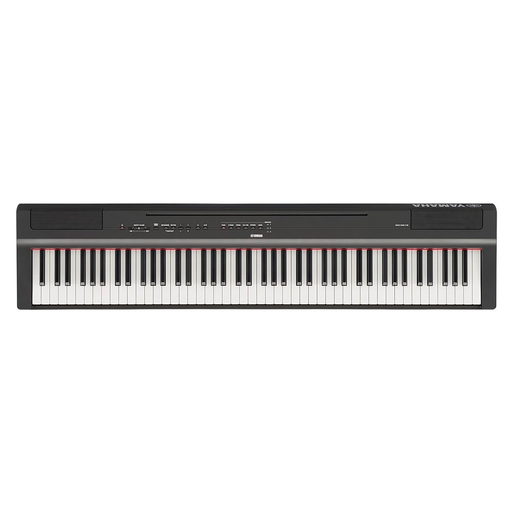 P125B YAMAHA ピアノ Yamaha P-125B 88-Keys Digital Piano, Black : Amazon.in