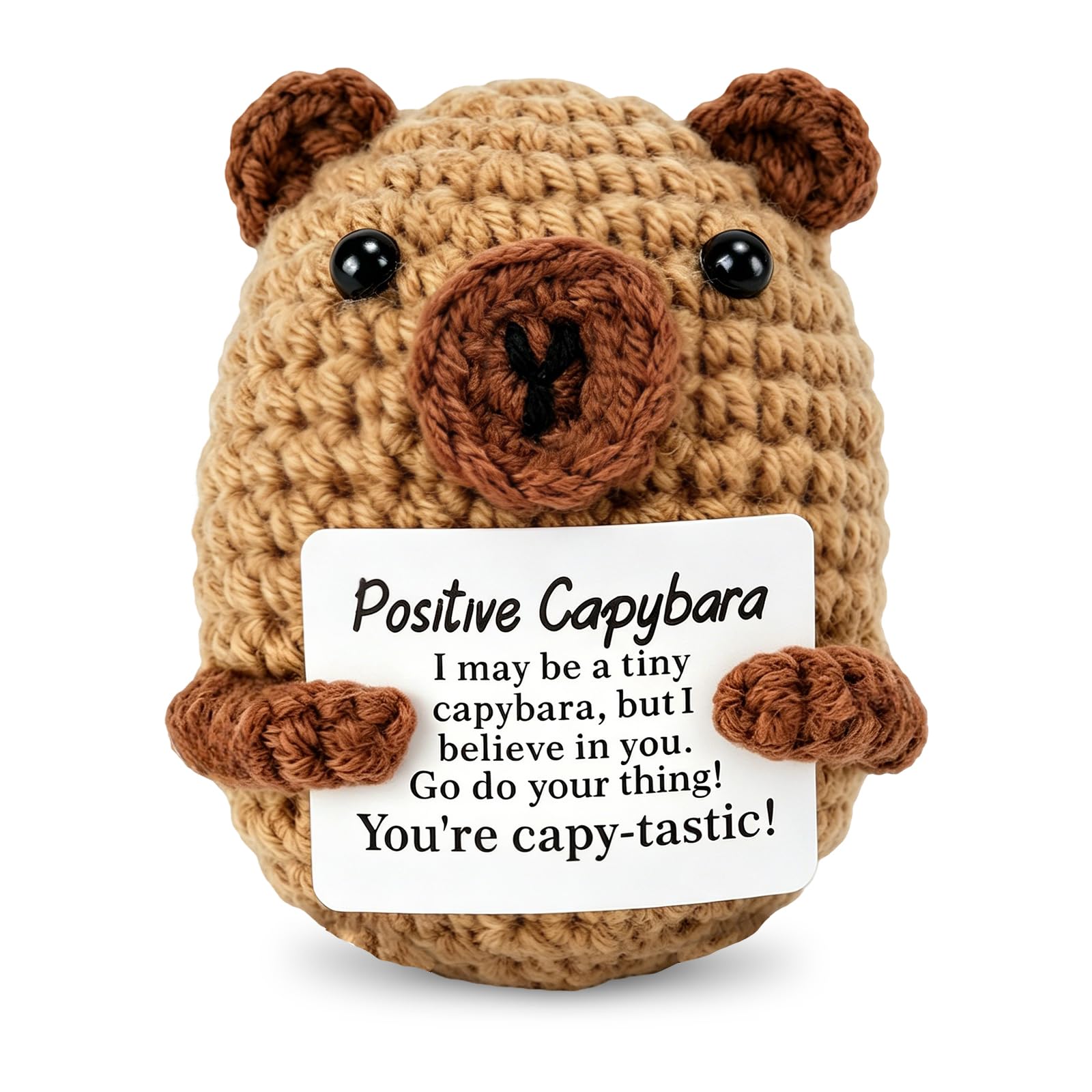 VBGURR Positive Capybara Gifts, Handmade Crochet Emotional Support Animal
