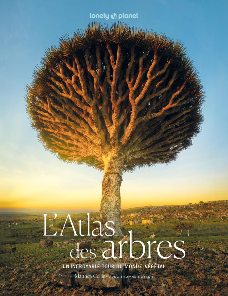 Lonely Planet - L'Atlas des arbres: Un incroyable tour du monde végétal