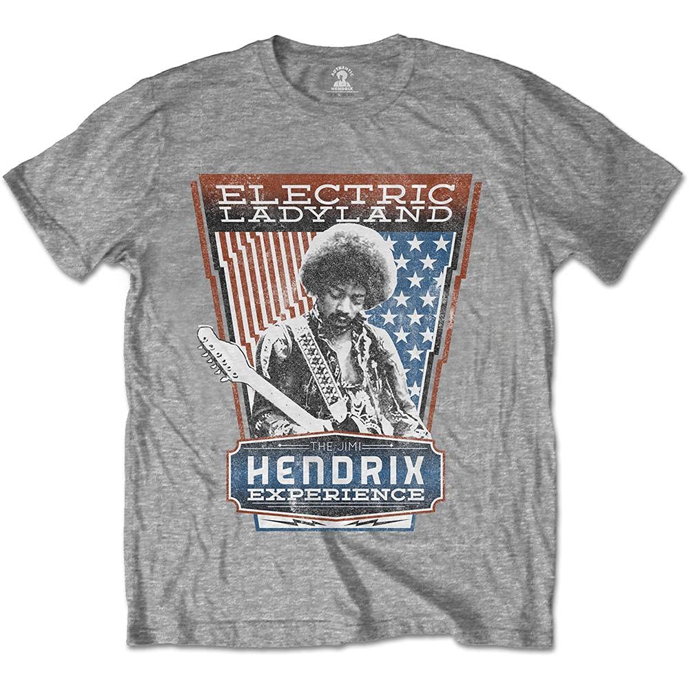 Rockoff Trade Men's Jimi Hendrix Electric Ladyland T-Shirt, Grey (Grey Grey), Medium