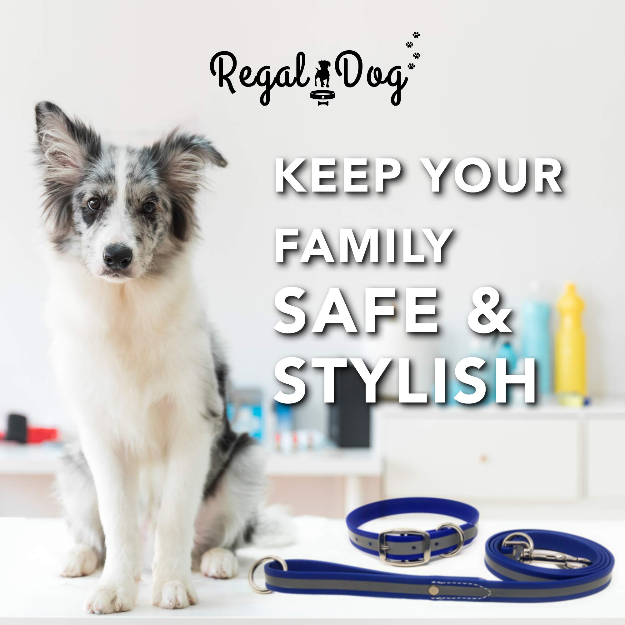 Regal Dog Products Set Collare e guinzaglio per Cani Standard Riflettente - Combo Collare e guinzaglio per Cani per Cani S/M/L (Collare e guinzaglio Standard Medio, Blu)