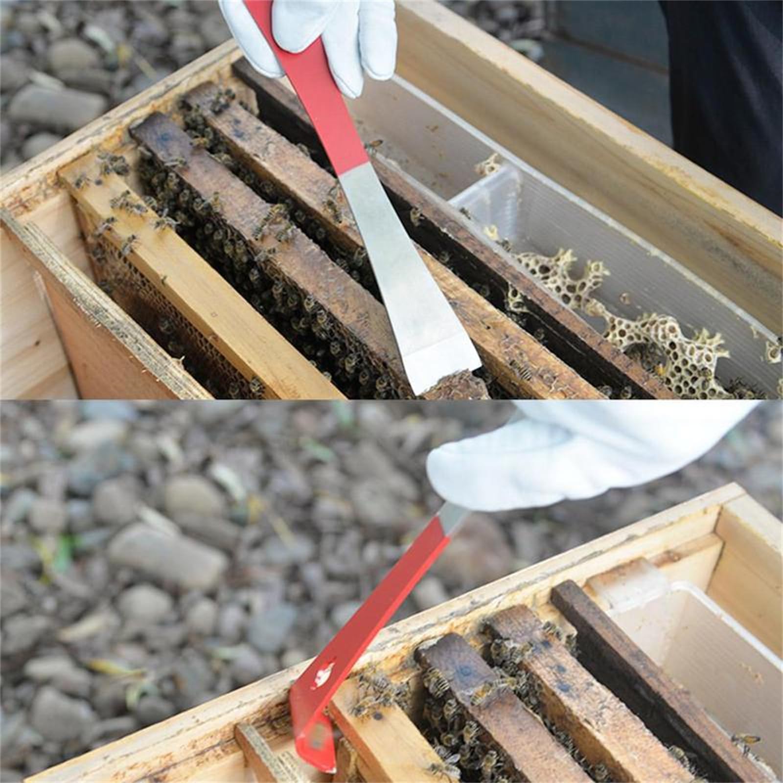 9 piezas de suministros de apicultura para herramientas de apicultura, kit de ahumador de colmenas de abejas, caja de cultivo, equipo de alimentación de agua para colmenas, suministros y equipos