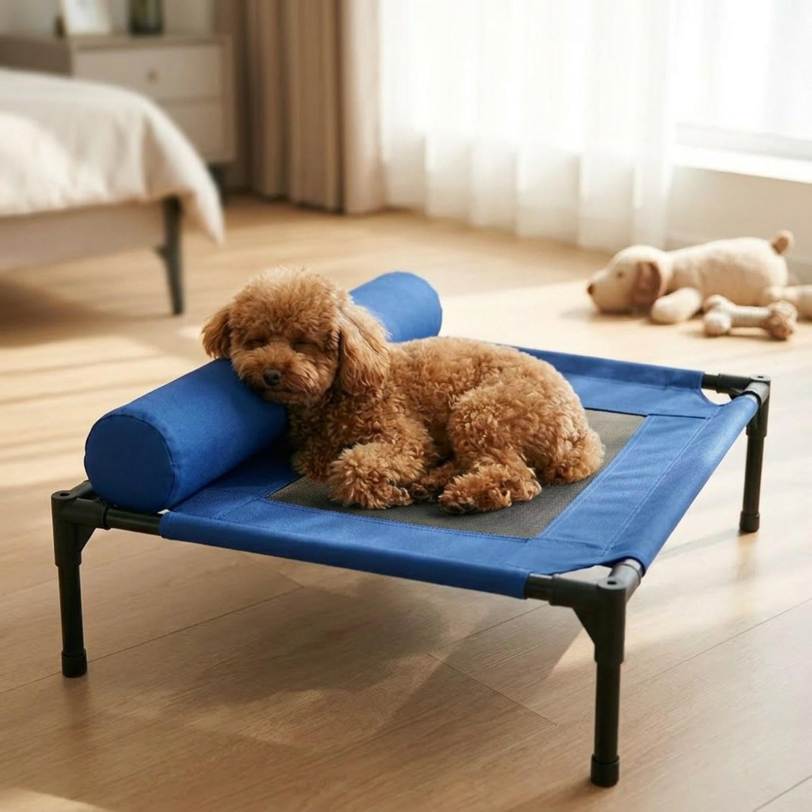 F Fityle Cuccia rialzata per Cani, Amaca Estiva per Animali Domestici, Pratica, Lavabile, Accessori per Esterni, Lettino rialzato per Cani da Interno, M