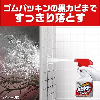 専用 kabiたん 4905034029736_01.jpg
