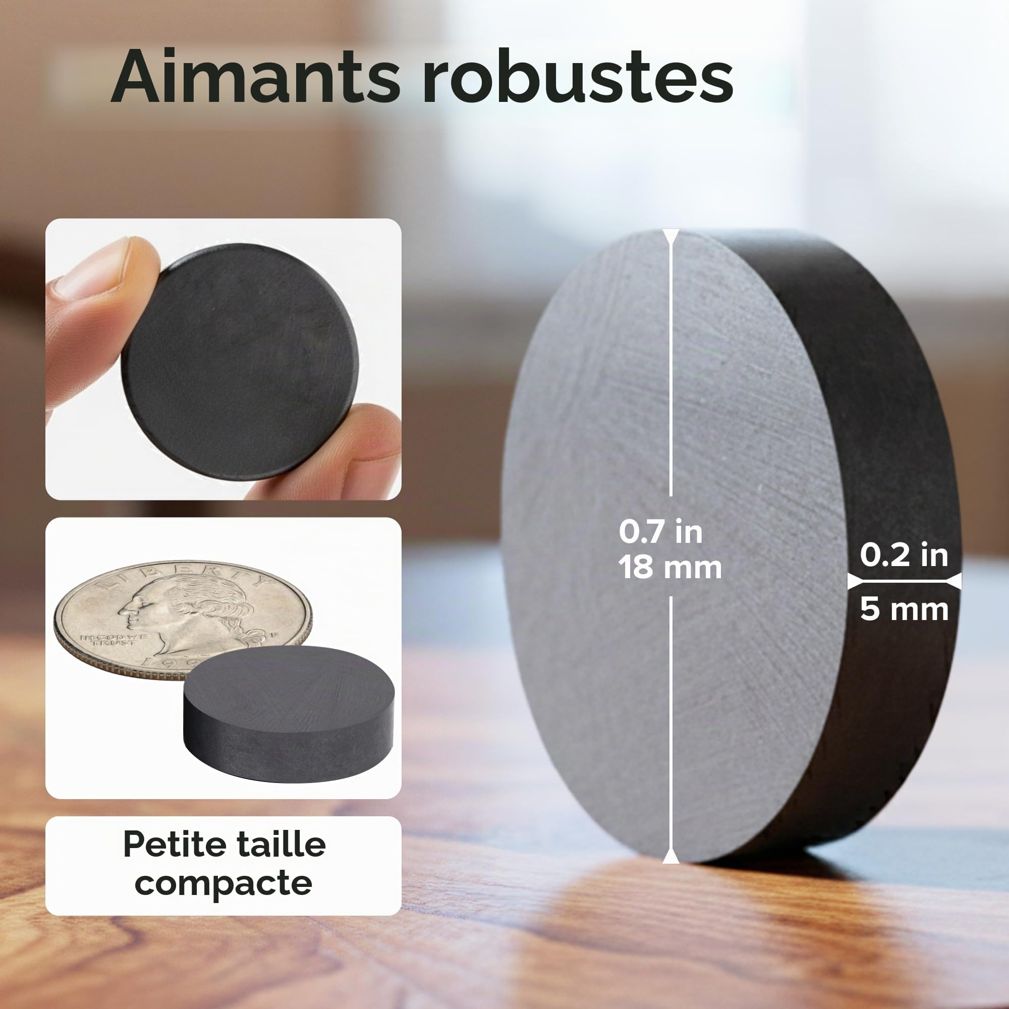 Craft Magnets - Aimants en Céramique Rond de 1,8 cm - Aimants Circulaire Plat pour L'artisanat, la Science et le Bricolage - Petits Aimants Frigo, pour Réfrigérateur, le Tableau Blanc - 30 PC