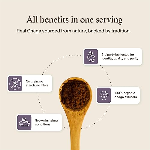 Miniatura 7 de Real Mushrooms Cápsulas de Seta Chaga – Extracto de Chaga Orgánico en Polvo con Polvo de Extracto para el Bienestar y Apoyo Energético – Vegano, Sin