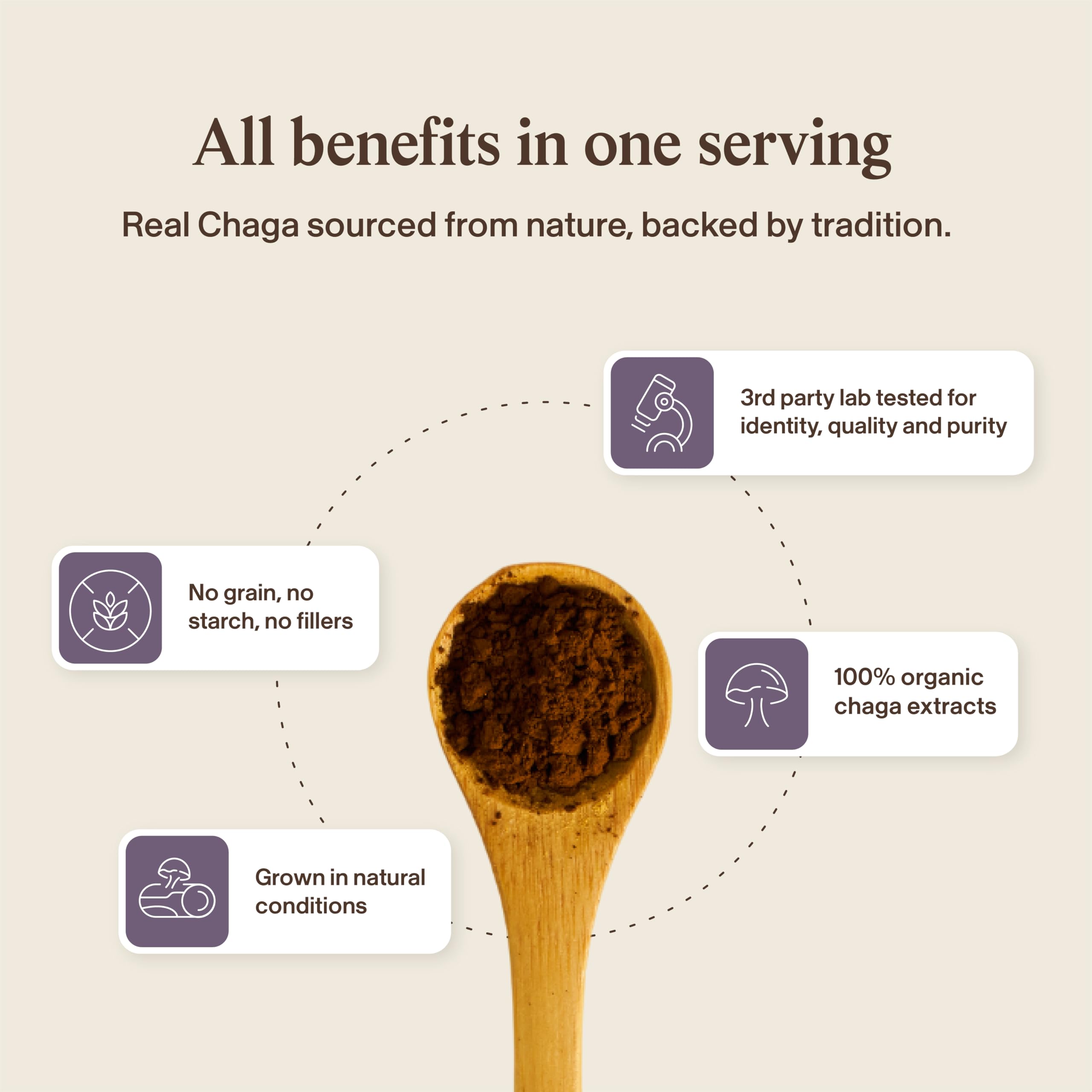 Real Mushrooms Organic Chaga Capsules for Energy and Wellness, 120ct — Amazon image 7